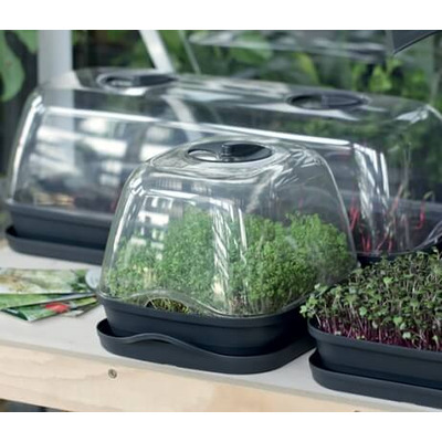 Propagator and Lid