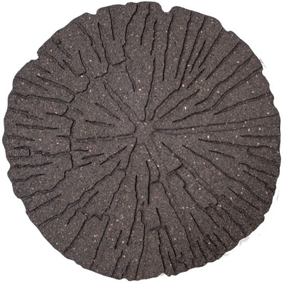 Cracked Log Stepping Stone