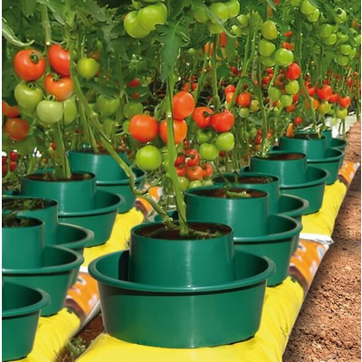 Tomato Growpots Growing Tomatoes in Pots