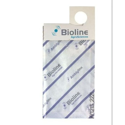 Natural Thrip Control with Amblyline cucumeris