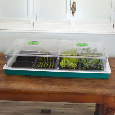 Vitopod Electric Propagator Systems And Optional Lights