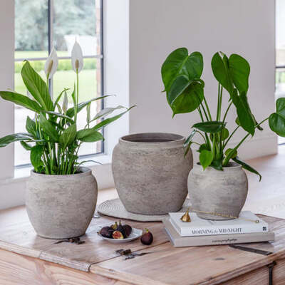 Rustic Large Ceramic Planter For Indoor Use