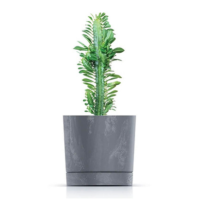 Indoor or Outdoor Pots Erith