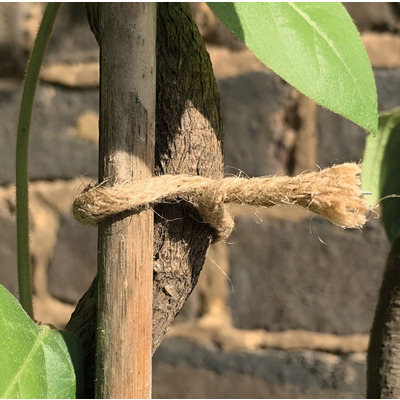 Jute Plant Twist Ties 5m and 10m
