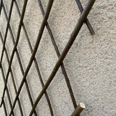Garden Trellis Willow Expanding