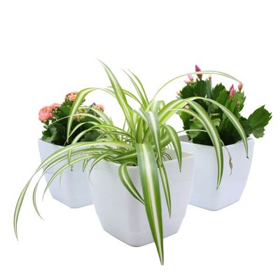 Indoor Coloured Plant Pots - Square