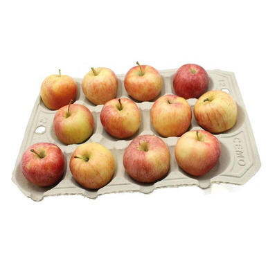 Apple Trays Biodegradable 12 Compartments