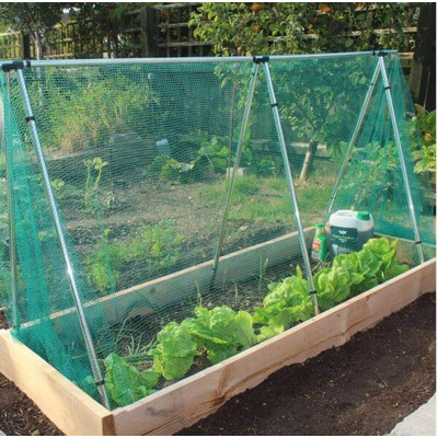 Butterfly Netting Green or Black