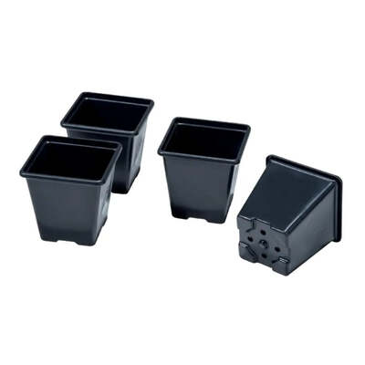 Vegetable Growing Pots