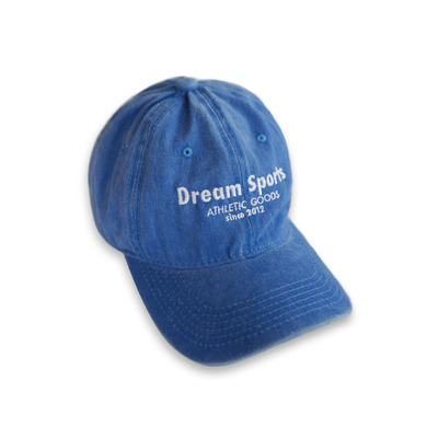 Cap In Vintage Light Blue With Dream Sports Logo