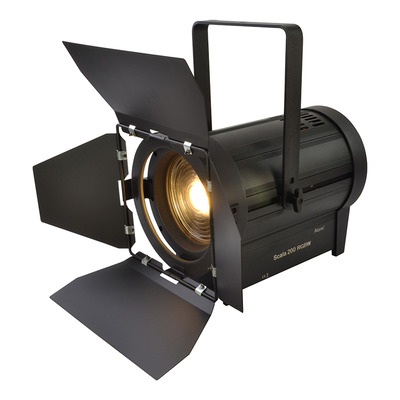 LED Fresnel 200W Warm White Stage Spot with Barn Door