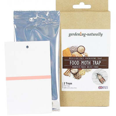Food Moth (Pantry Moth) Traps Safe and Natural