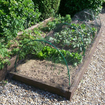 Flexible Garden Hoops for Creating Cloches Green
