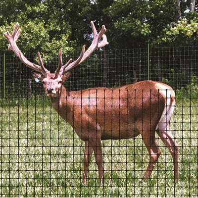 Deer Netting
