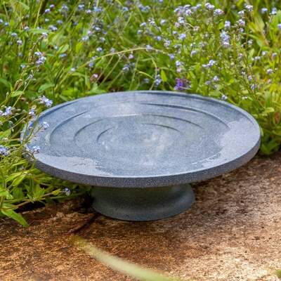 Bird Bath & Drinker 'Water is Life'