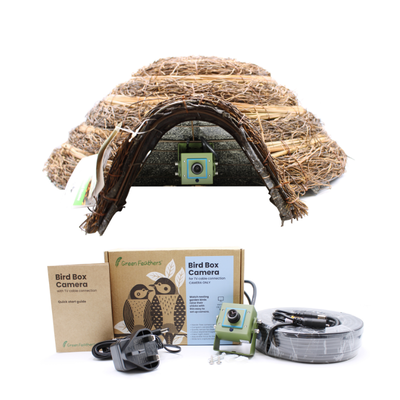 Igloo Hedgehog House Wired Camera