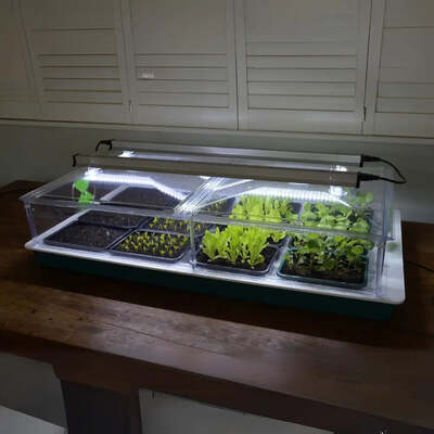 Vitopod Electric Propagator Systems And Optional Lights
