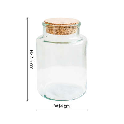 Bowl Shape Terrarium DIY Kit