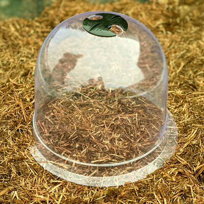 Victorian Bell Cloches Pack of 3 - 2 Sizes Available