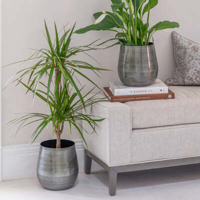Pewter Plant Pot